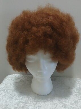 Afro Soft Women's Synthetic Wig In #30